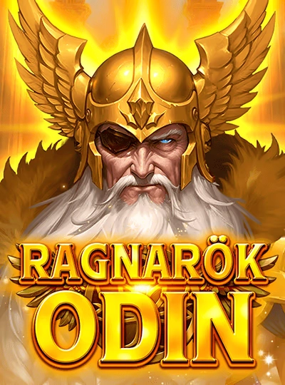 won99 won99